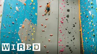 なぜ「クライミングで15メートルを5秒で登ること」はほぼ不可能なのか | Almost Impossible | Wired.jp