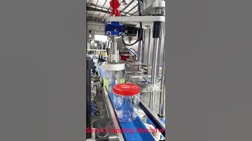 Single Head Automatic linear screw bottle servo capping machine with cap elevator and sorter Factory