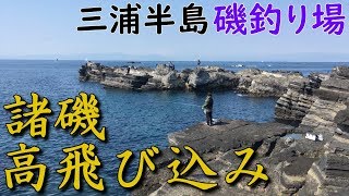 神奈川磯釣り場 諸磯 高飛び込み 三浦半島 油壷