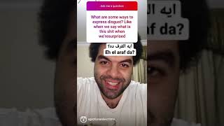 answering Egyptian Arabic questions