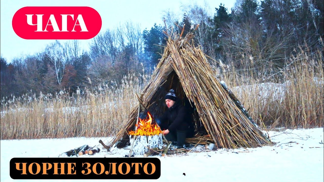 ЗОЛОТА ЛИХОМАНКА В ЛІСІ 🤯 Похід за чорним золотом — Чага чай та обід на крижаному озері