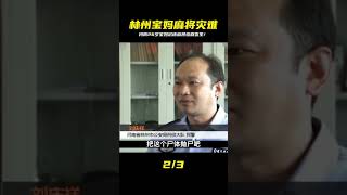 河南林州26歲寶媽只因沉迷麻將最終釀成慘劇 #炊事班的驴 #案件 #探案 #懸案 #懸疑