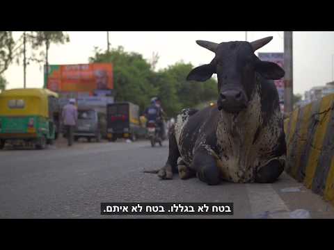 אדם הלך לאיבוד - הסרט!