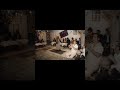 شهناز تهرانی و اجرای ترانه داش داش داشم من در فیلم مغربی 