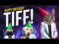 Happy Birthday Tiff - It's time to dance!