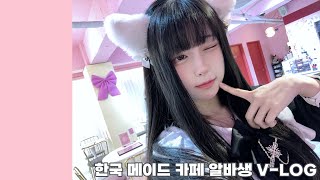 메이드 카페 취업했습니다 ㅣ 한국 메이드 카페 ㅣ VLOG