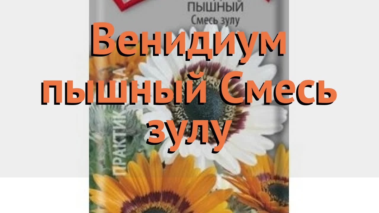 Венидиум пышная Смесь зулу (smes zulu) 🌿 Смесь зулу обзор: как сажать ...