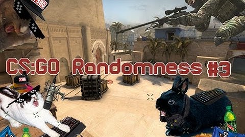 CS:GO Randomness #3
