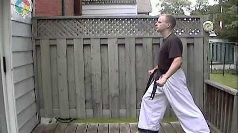 Taekwondo: Hapkido: Foundations: hooking kick, side view