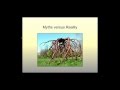 Understanding Roots   Webinar Sample