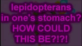 Download lagu Bobinogs - Butterflies Inside My Tummy - Welsh (HQ)