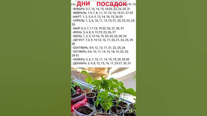 Благоприятные дни посадок по лунному календарю на 2024 год.
