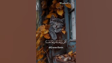 {أَفَمَن وَعَدْنَاهُ وَعْدًا حَسَنًا } قرآن كريم سورة القصص للقارئ أحمد كاسب #quran  #استماع وتلاوة