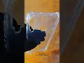 Huawei Y7p | Clear Transparent Phone Case with Bumper Corners | PhoneCases.lk