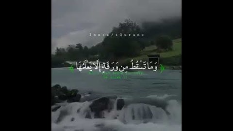 إدريس أبكر..سورة الأنعام.. سبحان الله وبحمده..سبحان الله العظيم…🌸🌿