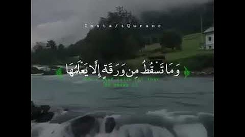 إدريس أبكر..سورة الأنعام.. سبحان الله وبحمده..سبحان الله العظيم…🌸🌿