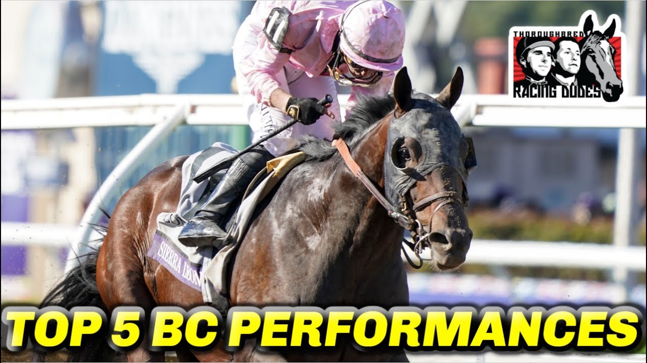 Buying a Bit(Coin) of a Horse through Crypto? The Use of Blockchain in Horse  Racing - Racing Dudes