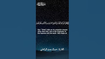 آيات من سورة الأنعام - تلاوة من القارئ عبدالرحمن الواصلي #اكسبلور#سورة_الانعام