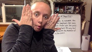 Module 3: Lesson 3.3 - Applications of Proportions #1