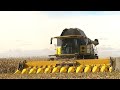 Corn Harvest 2020 | New Holland CR 7.90 Combine Harvesting Corn | Ontario, Canada