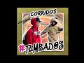 🔥MIX CORRIDOS TUMBADOS 2021👿Natanael Cano, Herencia De Patrones, Legado 7, Junior H, Fuerza Regida
