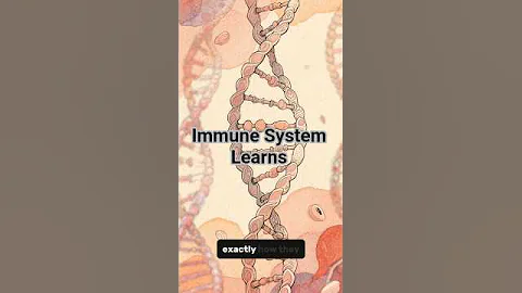 How mRNA Vaccines Work (Immune Response Explained)