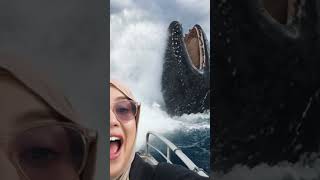 Ohhhh youtubeshorts feedshorts ai