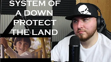 SYSTEM OF A DOWN PROTECT THE LAND REACTION