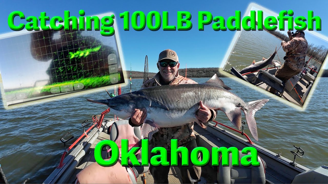 Catching a 100lb Oklahoma Spoonbill/Paddlefish
