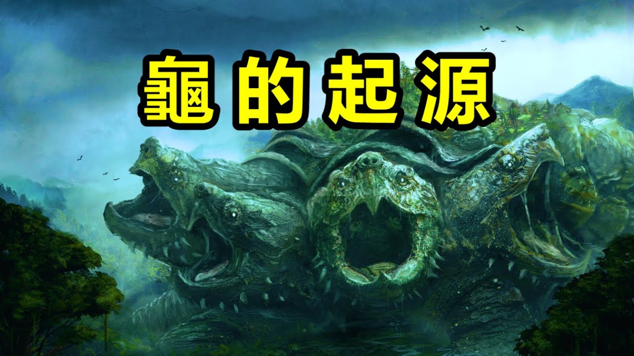 龍龜竟然真實存在過！ 蛇頸龍是龜的近親嗎？