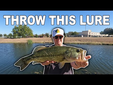 The BEST Fall Bass Fishing Lure! (Pond Fishing Fort Worth, TX