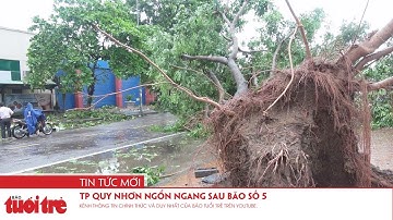 TP Quy Nhơn ngổn ngang sau bão số 5