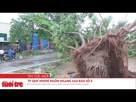 Video TP Quy Nhơn ngổn ngang sau bão số 5 - youtube