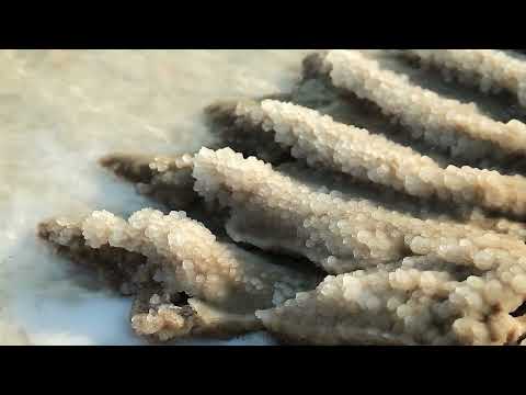 Video: Wat is de meest karakteristieke structuur in sedimentair gesteente?