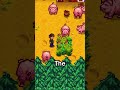 How To Get INFINITE Food For Your Stardew Valley Animals