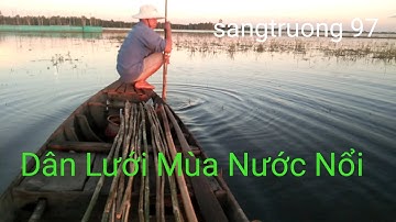 An Giang Mùa Nước Nổi Dân Lưới Bắt Cá Rô Đồng