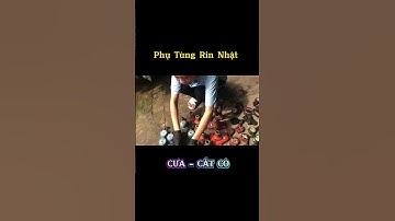 Phụ Tùng cắt cỏ - cưa Rin Nhật Bãi