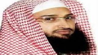 Abdulrahman Al Juraidy: Sura 27  An Naml