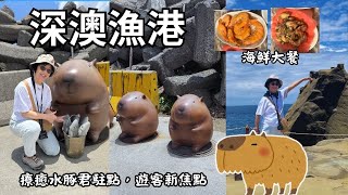 【北海岸一日遊】新北景點│瑞芳│深澳漁港│象鼻岩新地標│酋長岩水豚君深澳漁港真熱鬧