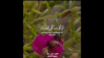 وأوحى ربك إلى النحل #القارئ فارس عباد #قرءان كريم