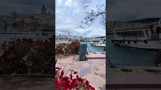 هاني شاكر وإسطنبول قصة حب وحزن وحنين #travel #اسطنبول #turkey #istanbul #habibiletsgo