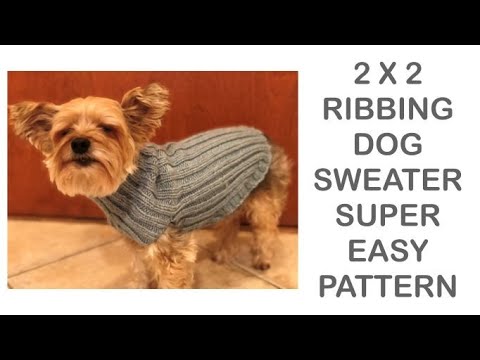 Video: 12 Pulovere pentru câini