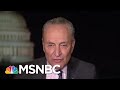 Senator Chuck Schumer Calls Mitch McConnell Speech 'Despicable' | All In | MSNBC