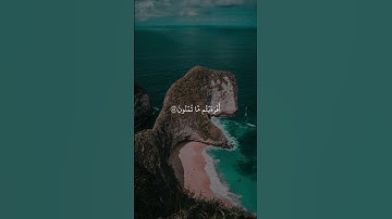 اكتب شيء تؤجر عليه | سورة الواقعة الآية 53-63 القارئ ماهر المعيقلي