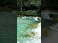This 30s Sound Will Calm You Instantly 🌿