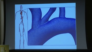 Thomas Hughes: “Isogeometric Analysis”