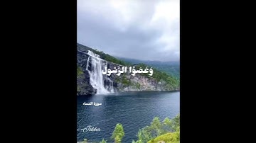 سورة النساء.. الآيات.. (41- 42)..للشيخ القارئ :عبدالباسط عبدالصمد.. رحمه الله 💫💫