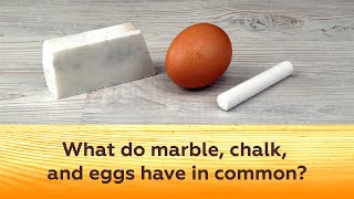 What do marble, chalk, and eggs have in common