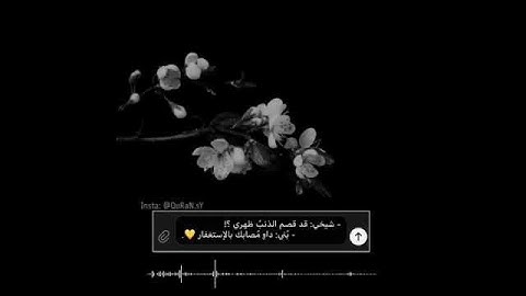 قرآن كريم بصوت ماهر المعيقلى تلاوة هادئة تريح القلب/ارح سمعك /حالات واتس اب اسلامية /ستوريات انستا