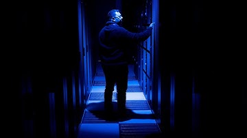 Investors Are Being Discerning With the AI Trade: BMO’s Schleif